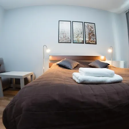 Appartement Sedinum - Modern